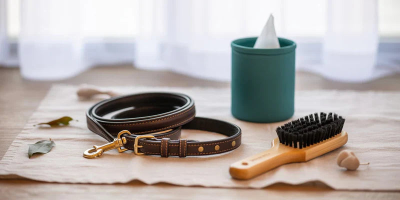 Dog accessories