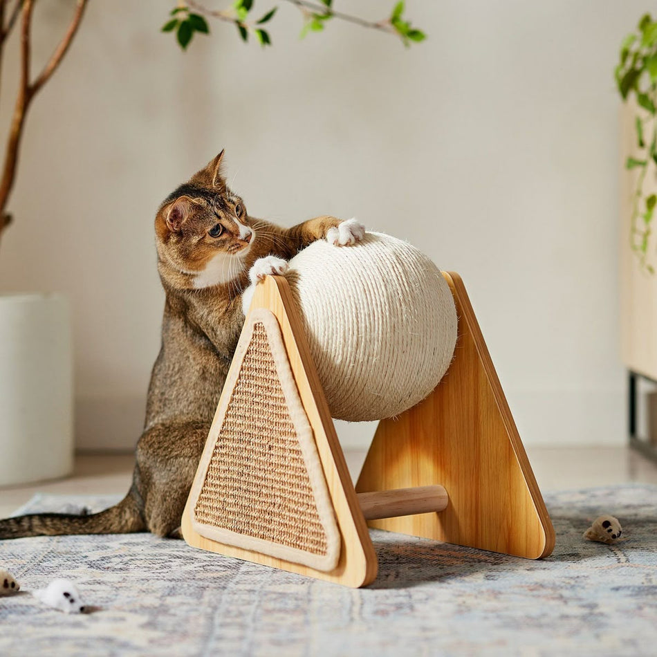 Cat accessories
