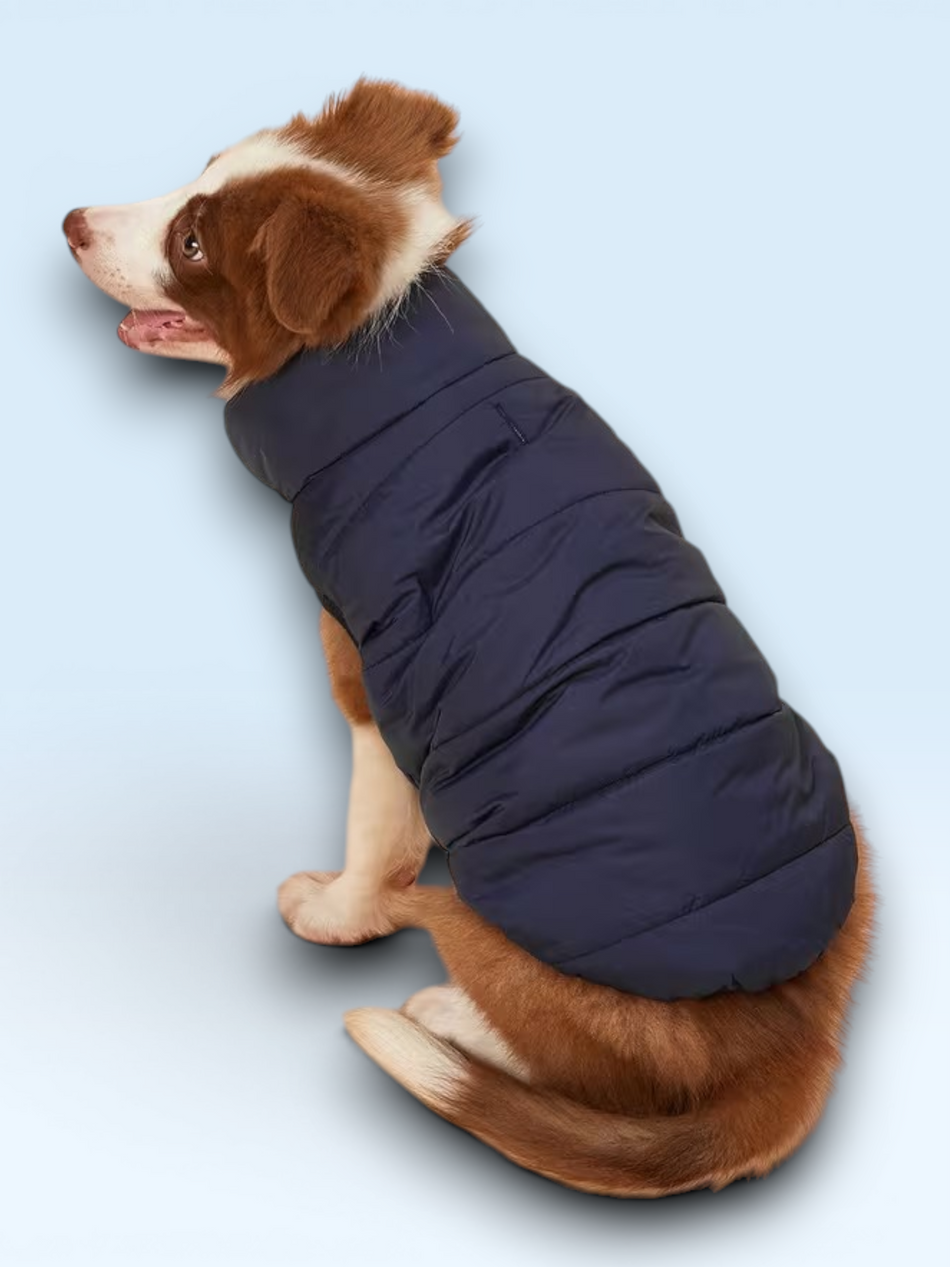 FrostGuard™ Insulated Dog Vest – Warm Waterproof Coat